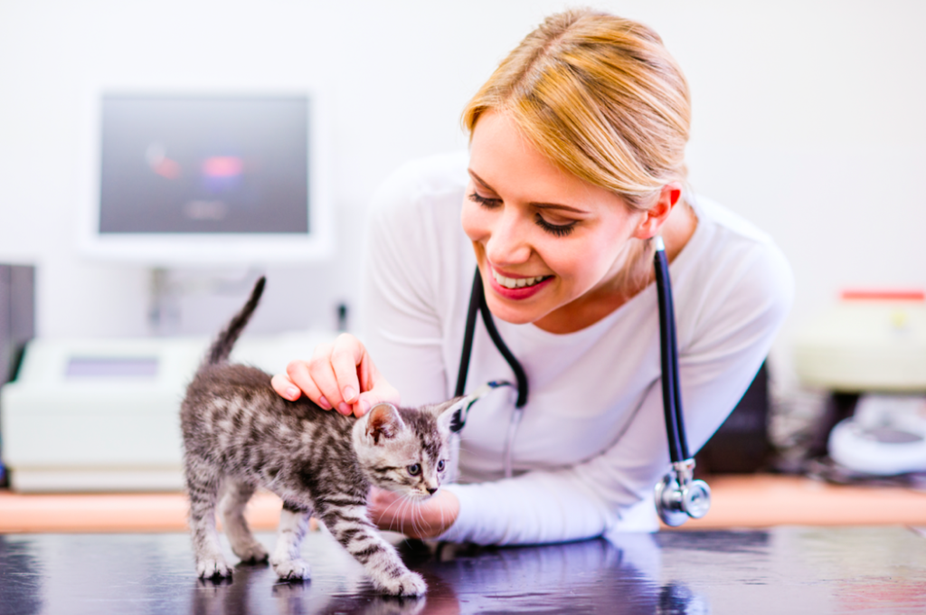 Veterinary phone software, top phone system for vet offices, voip service for veterinarians, voip phones, receptionist, clients